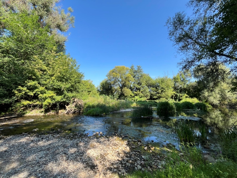 塞尔维亚开云体育(中国)官方网站-开云 SPORTS助力社区“母亲河”生机重现