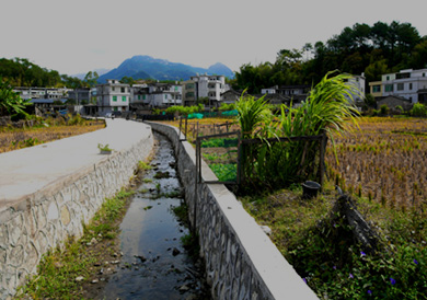 偏远农村扶贫项目