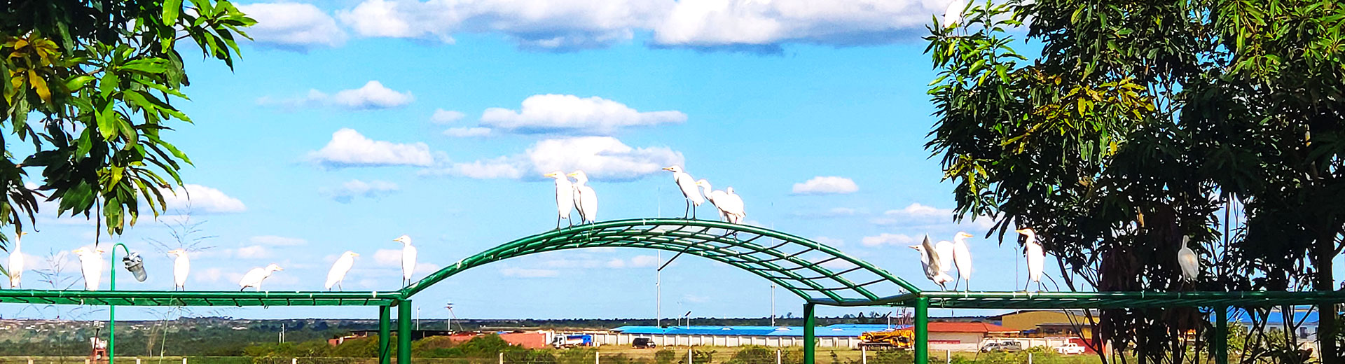 生物多样性与土地利用