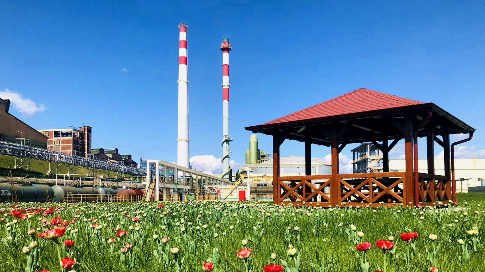 2500天的蜕变 | 从绿色转型到长远蓝图